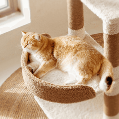 Ona's Cottage Multi-Tier Cat Tree with Cat Scratching Posts-Petroom