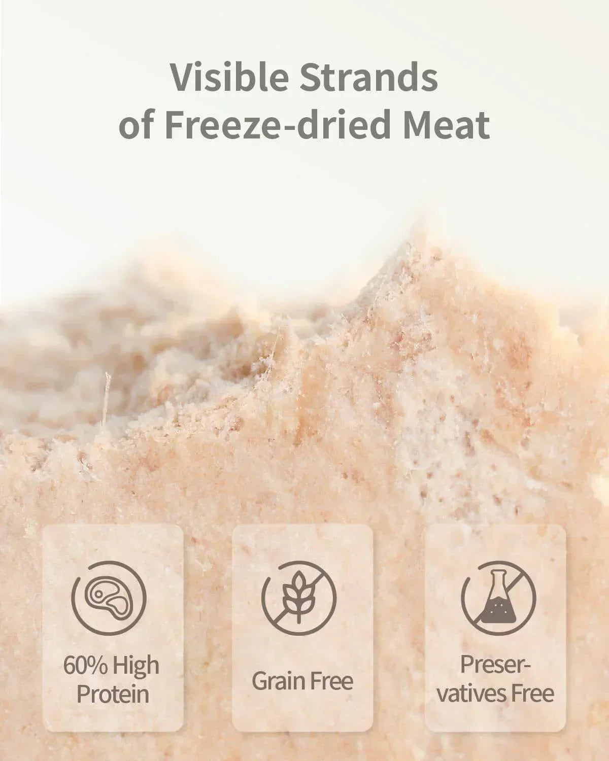 PET-EVER Freeze Dried Raw Cat Food Grain Free Beef/Chicken/Rabbit 400g-PETROOM