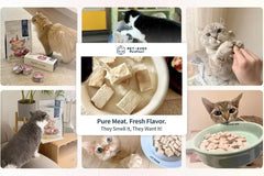 PET-EVER Freeze Dried Raw Cat Food Grain Free Beef/Chicken/Rabbit 400g-PETROOM