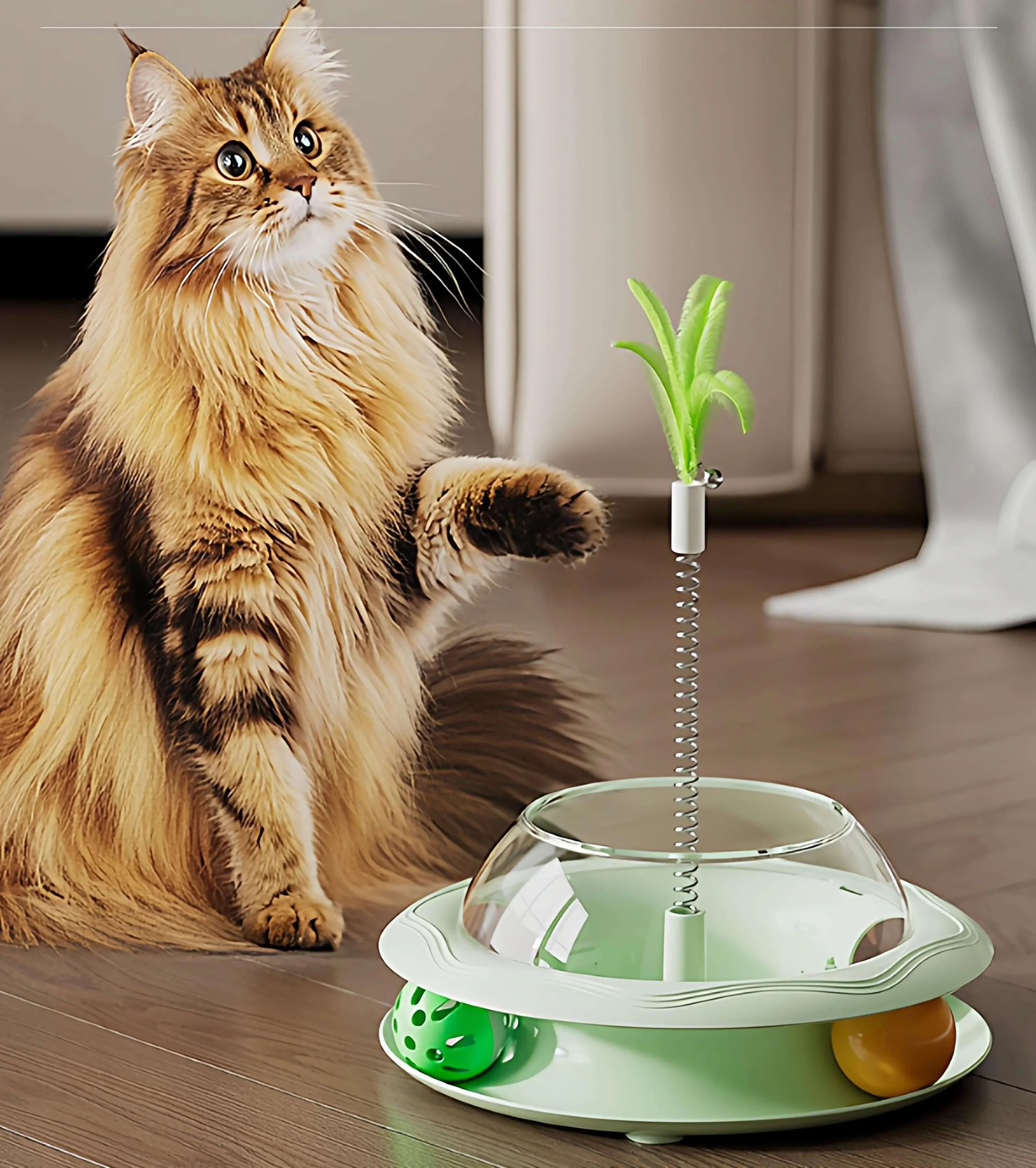 Fluffy cat playing with interactive green feather toy and balls on wooden floor
