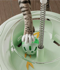 Cat playing with interactive green ball toy in mint base, perfect for indoor feline fun and exercise.