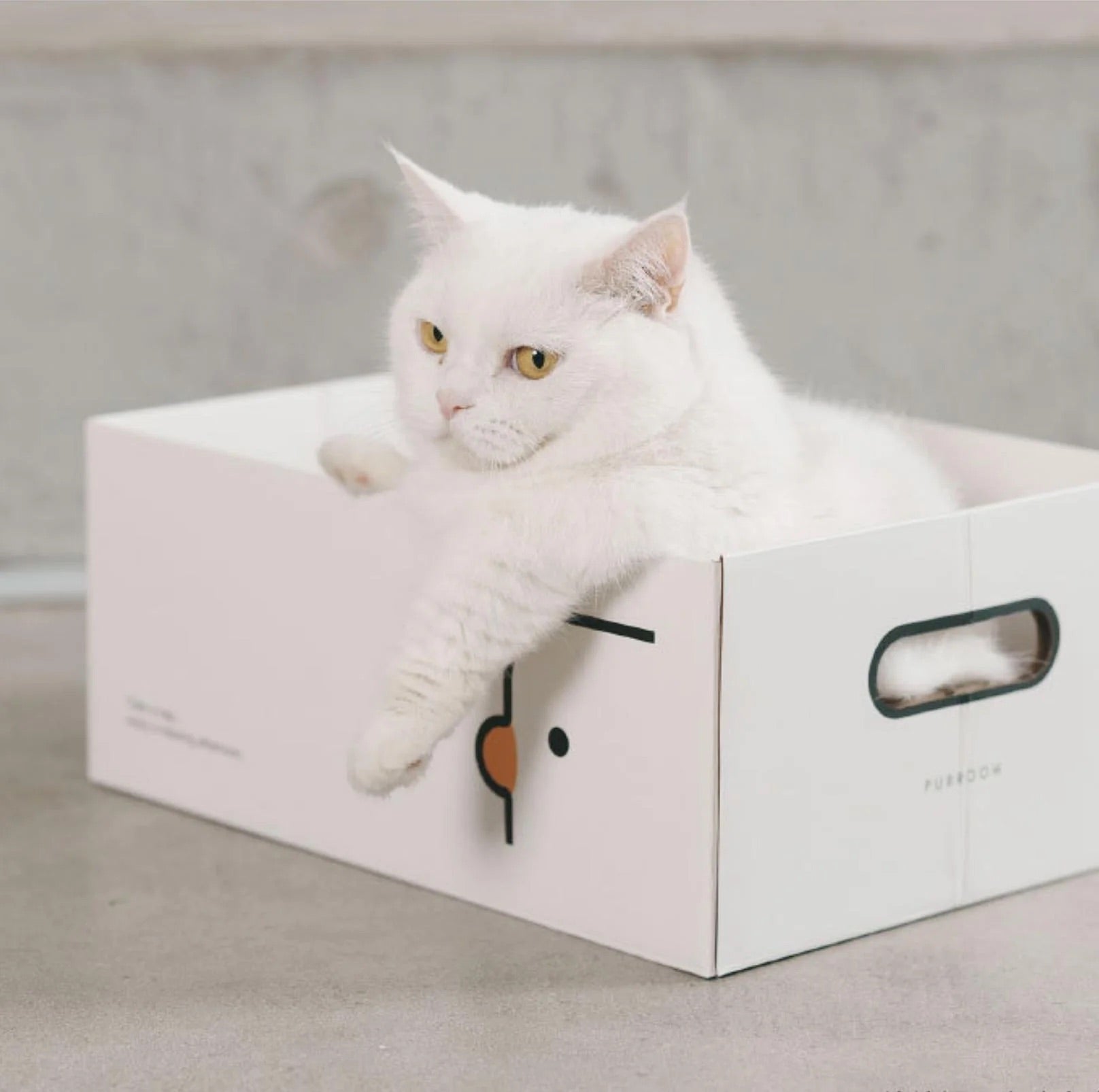 PURROOM Little Chick Series 2 In 1 Cat Scratcher Box-Petroom