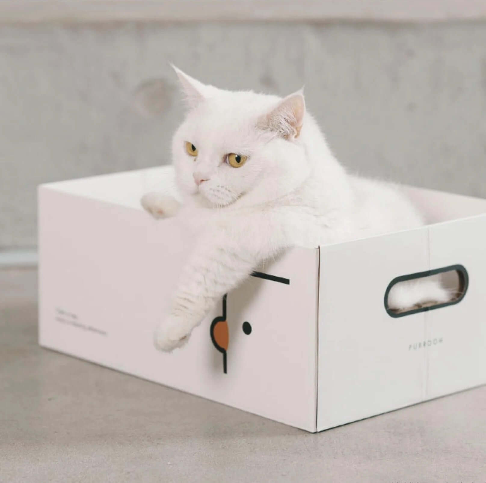 PURROOM Little Chick Series 2 In 1 Cat Scratcher Box-Petroom