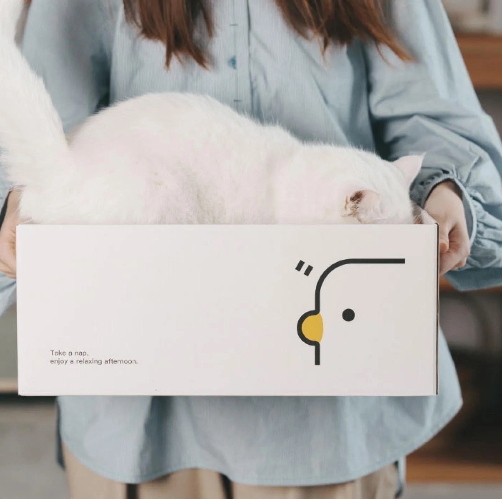 PURROOM Little Chick Series 2 In 1 Cat Scratcher Box-Petroom