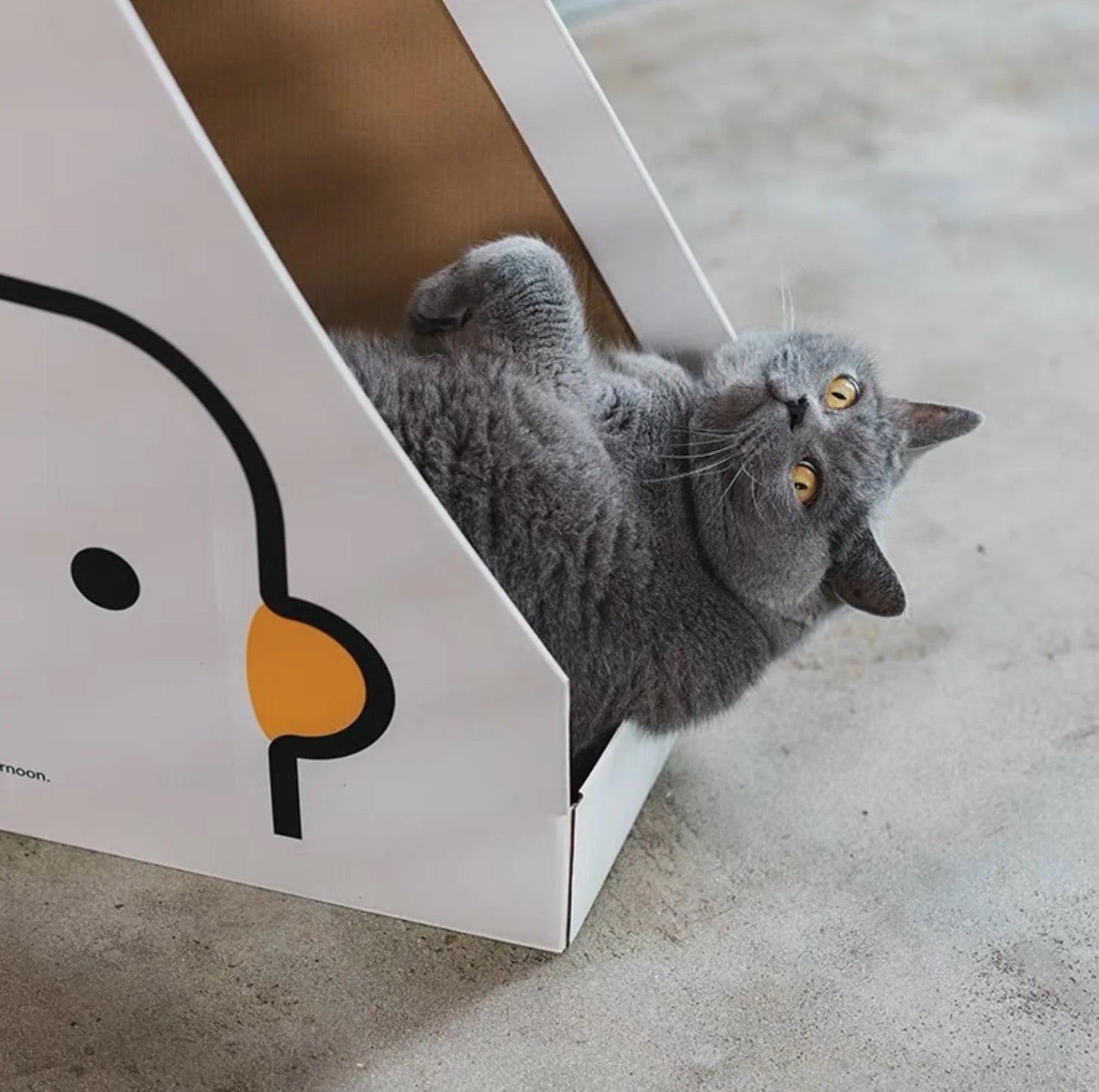 PURROOM Little Chick Series Vertical Cat Scratcher Box Cat Toy (Adjustable in height)-Petroom