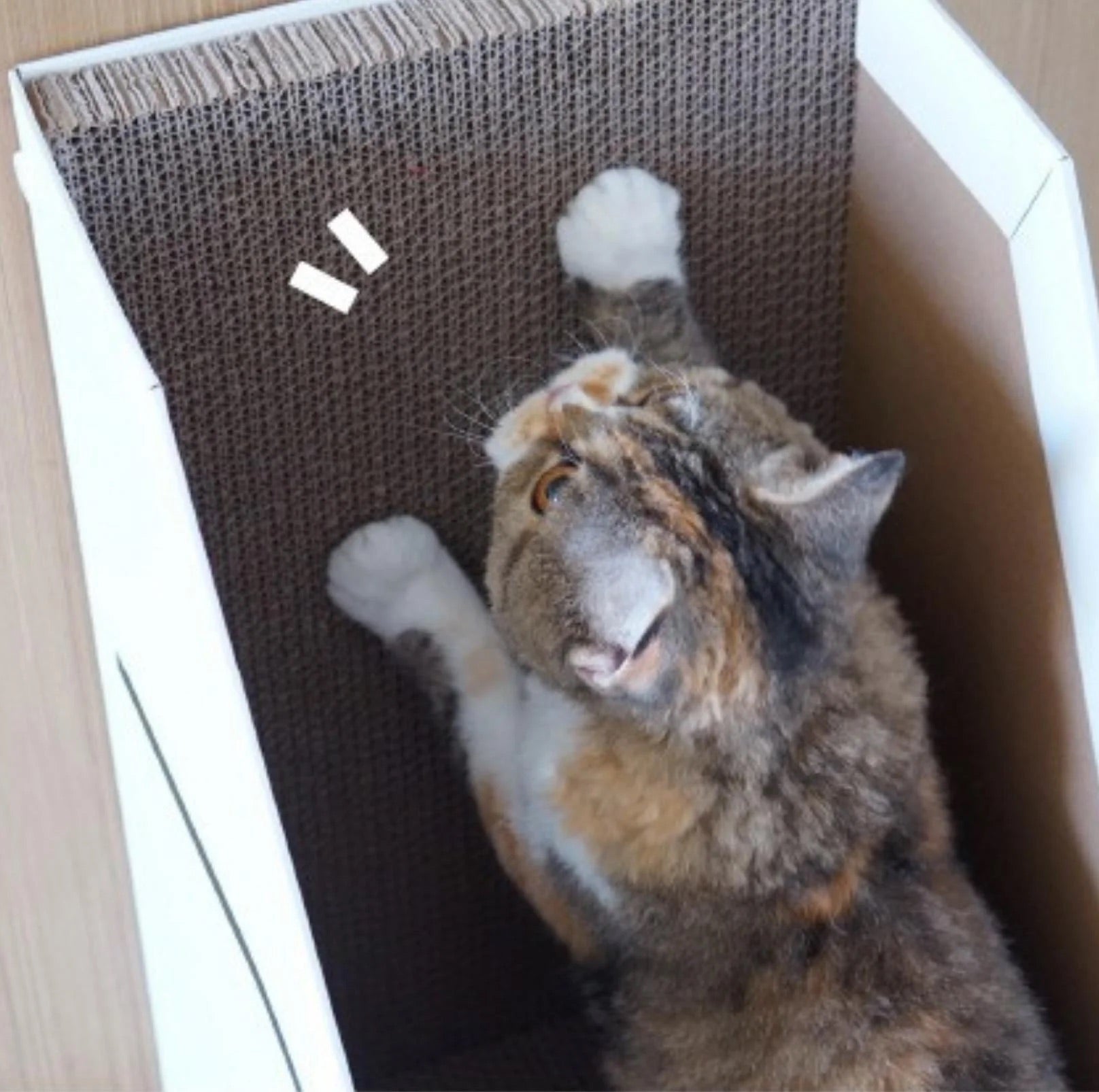 PURROOM Little Chick Series Vertical Cat Scratcher Box Cat Toy (Adjustable in height)-Petroom