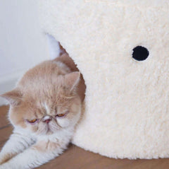 PURROOM Little Chicken Series- Enclosed Plush Pet Bed Cat Bed-Petroom