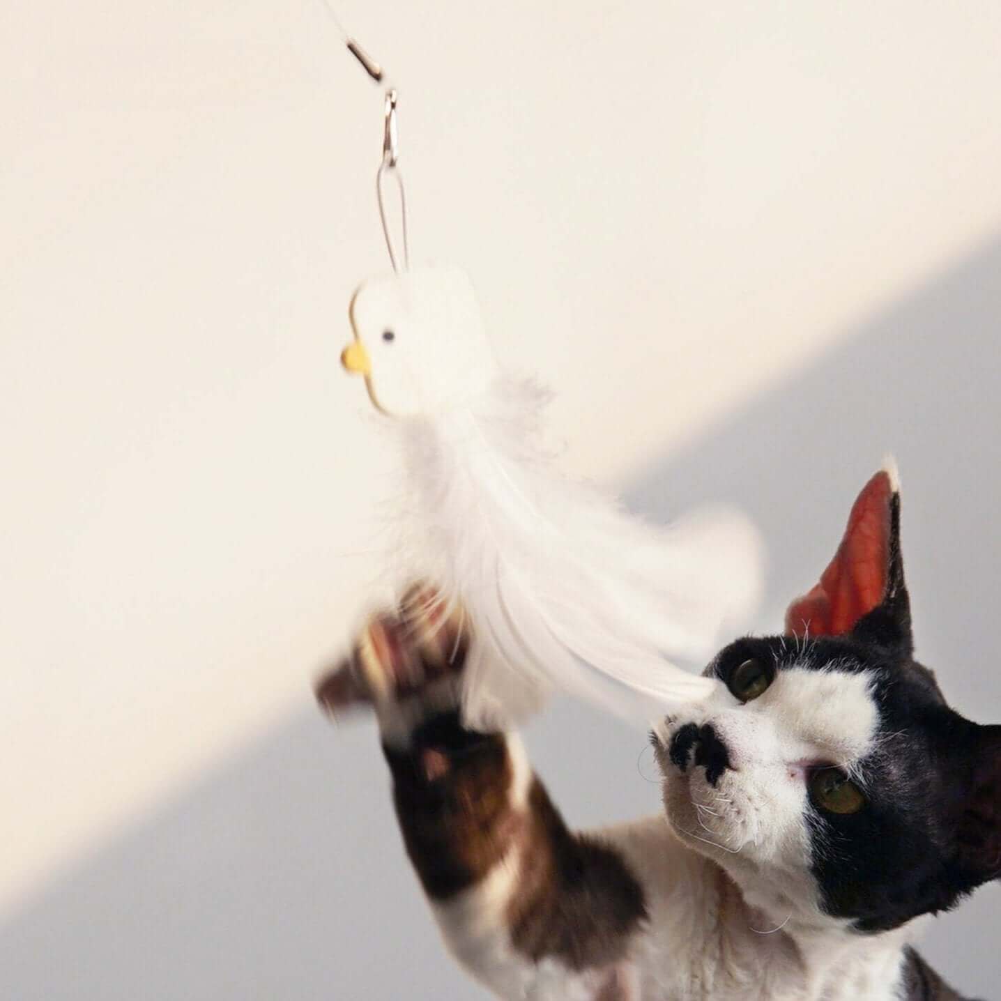 PURROOM Little Chicken Series: Extendable Feather Cat Stick Cat Toy-Petroom