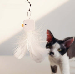 PURROOM Little Chicken Series: Extendable Feather Cat Stick Cat Toy-Petroom