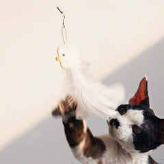 PURROOM Little Chicken Series: Extendable Feather Cat Stick Cat Toy-Petroom