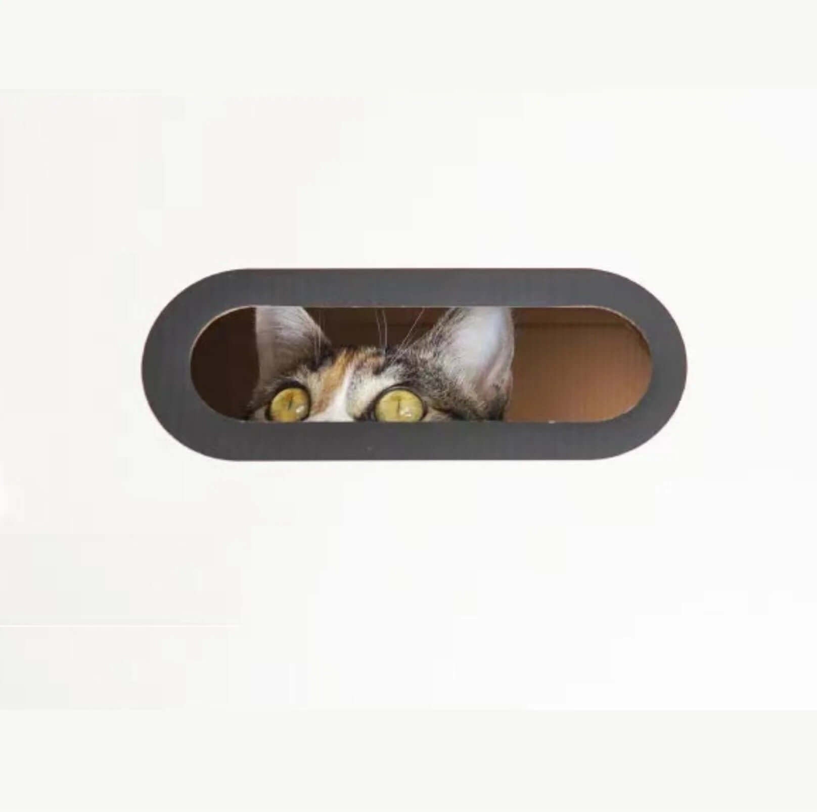 PURROOM Little Chicken Series Milk Box Cat Scratcher House-Petroom