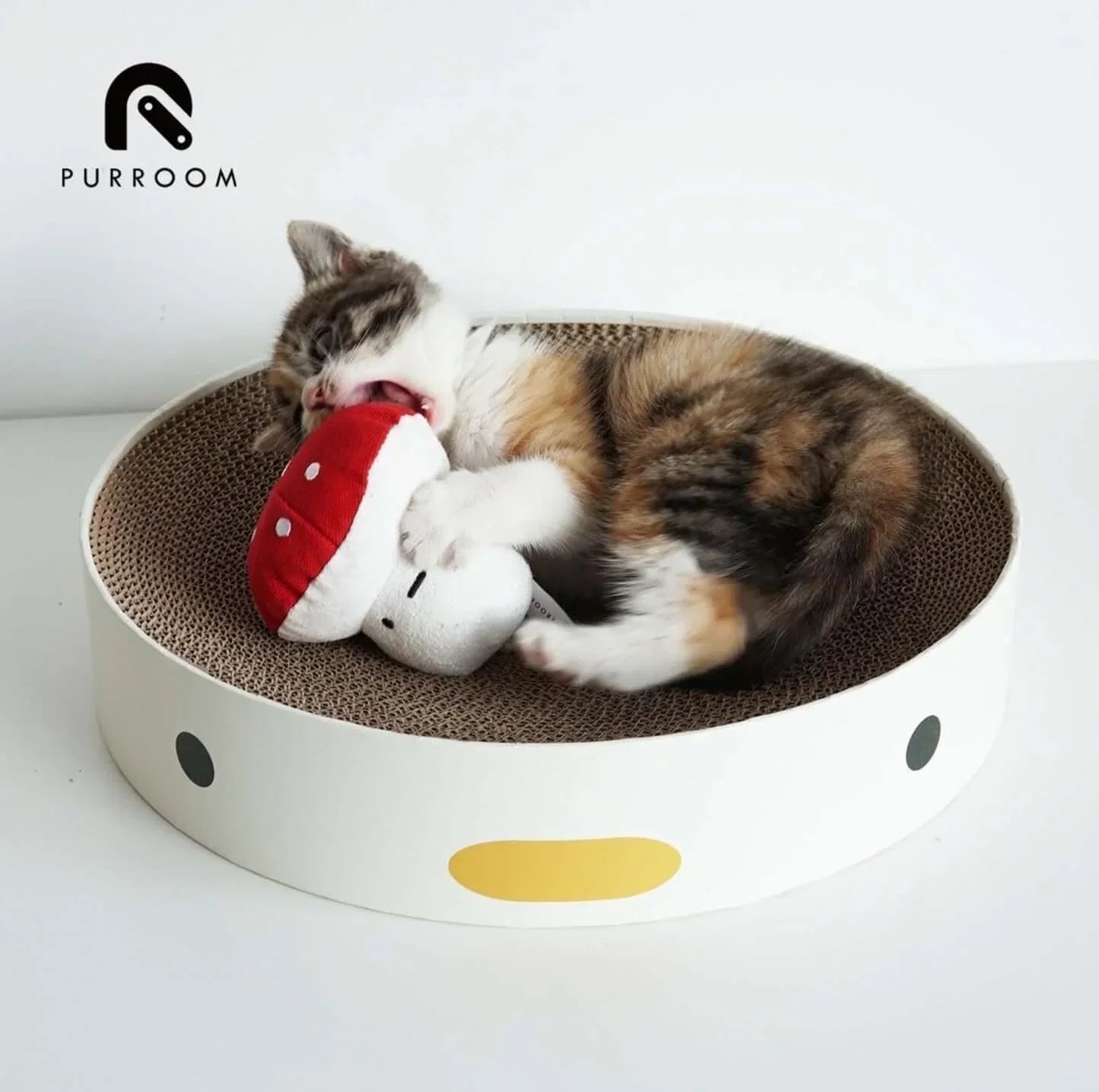 Calico kitten playing with mushroom toy in round cardboard scratcher bed