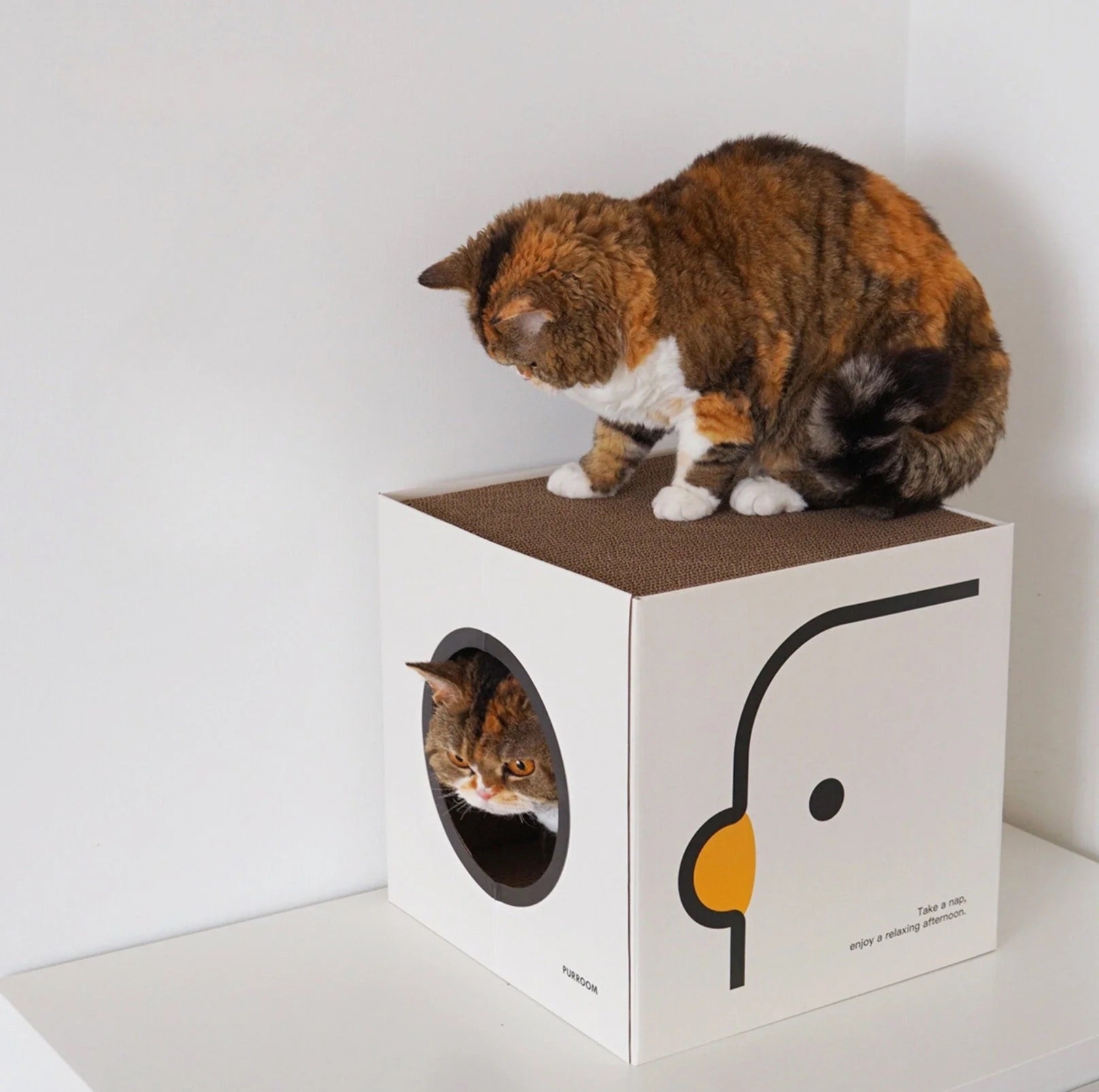 PURROOM Little Chicken Series: Square-Shaped Cat Scratcher House-Petroom