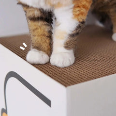 PURROOM Little Chicken Series: Square-Shaped Cat Scratcher House-Petroom