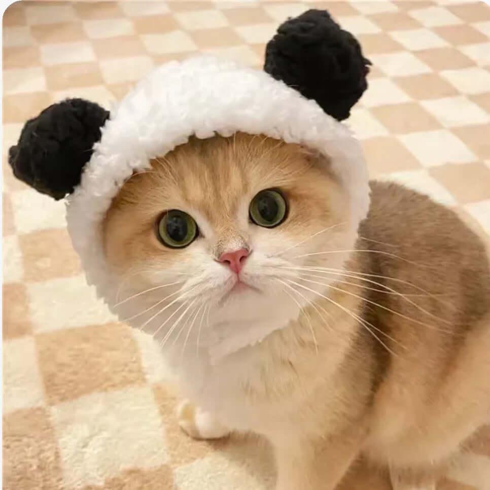 Pet Hat For Cat And Small Dog-Petroom