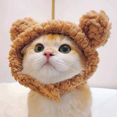 Pet Hat For Cat And Small Dog-Petroom