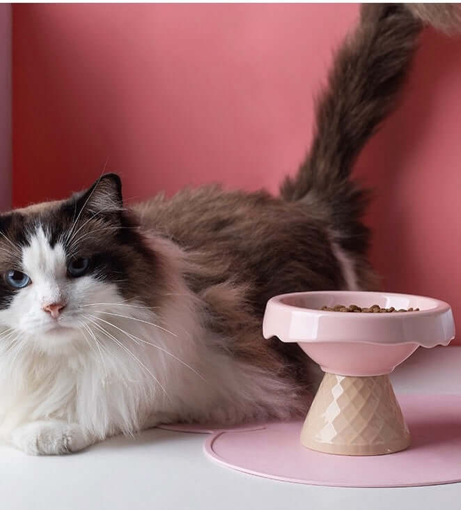 Petroom Ceramic Ice Cream Shape Pet Food Bowl Water Bowl-Petroom