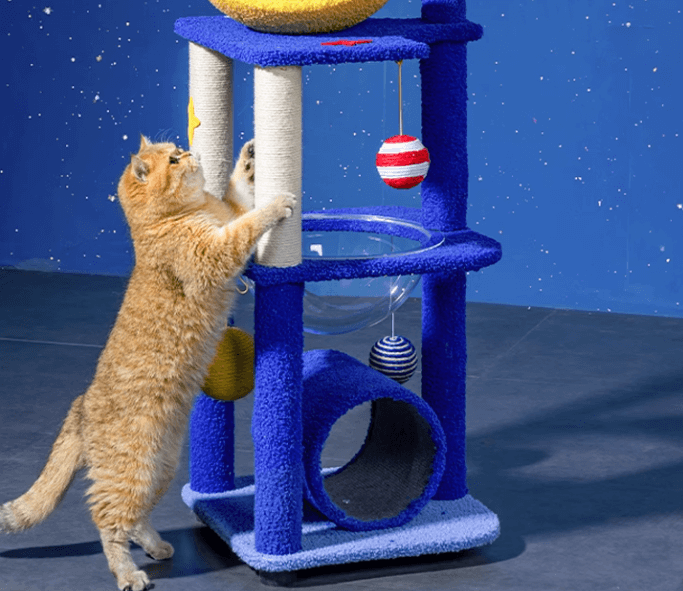 Petroom Galaxy Time Tunnel Cat Tree-Petroom