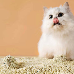 Petshy Mixed Cat Litter 1.5mm 2.5kg-Petroom