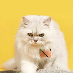 Petshy Naji-Ore Cat Litter 4.5kg-Petroom