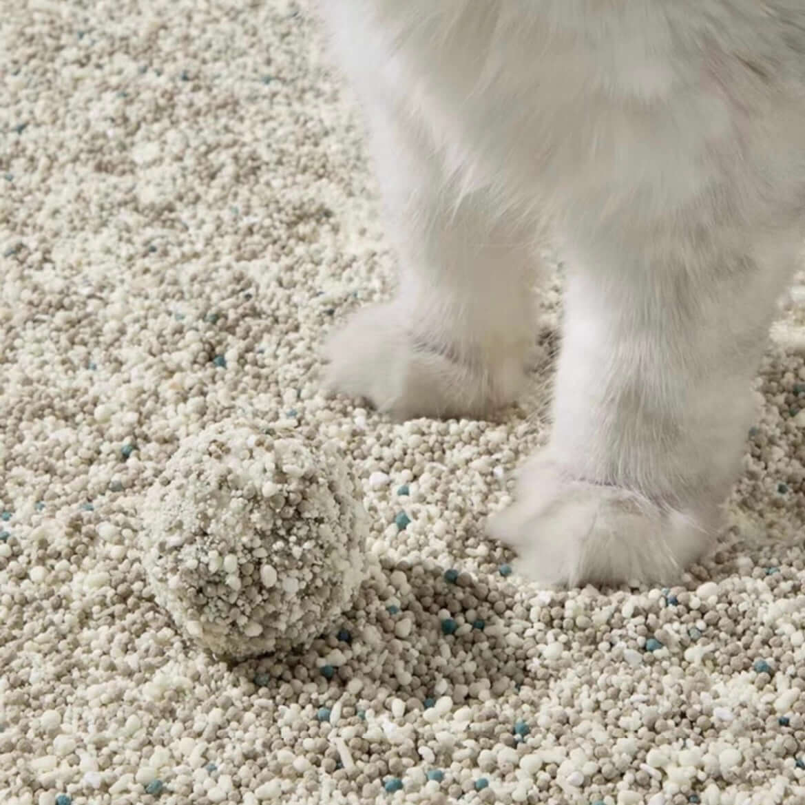 Petshy Plant Mixture Cat Litter 2.5kg-Petroom