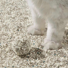 Petshy Plant Mixture Cat Litter 2.5kg-Petroom