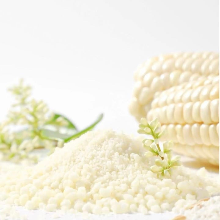 White corn kernels and fresh corn on the cob with green sprigs, natural pet food ingredient