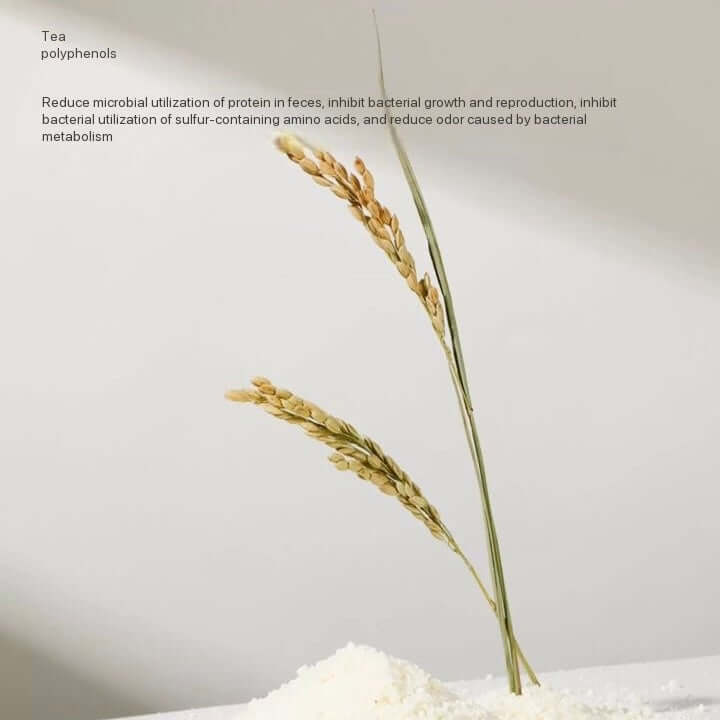 Petshy Pure Plant Pearl Cat Litter 2.5kg-Petroom