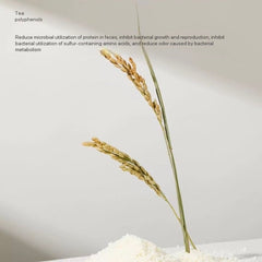 Petshy Pure Plant Pearl Cat Litter 2.5kg-Petroom