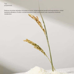Tea polyphenols for pet odor control, shown with wheat stalks and powder