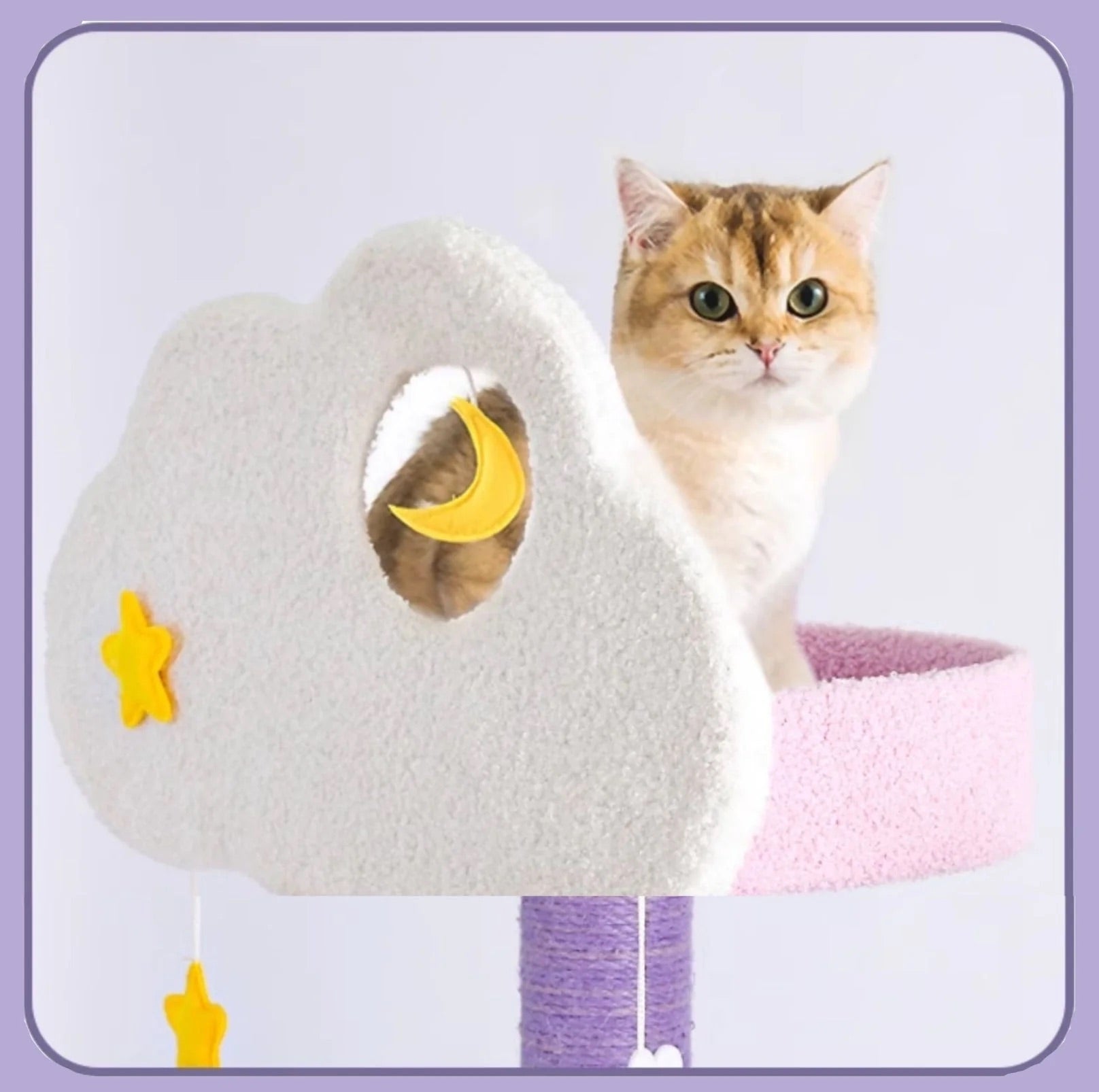 Purple Sky Adventure Cat Tree-Petroom