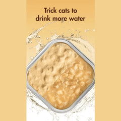 RANOVA Complete Freeze-Dried Golden Can Cat Food Chicken & Duck Recipe-PETROOM