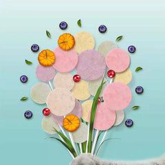 RANOVA Freeze Dried Lollipop Treats For Cats Mix Flavour 5pcs-PETROOM