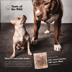 Taste Of The Wild Turkey & Duck Fruit & Veg Dog Tray 390g-Petroom