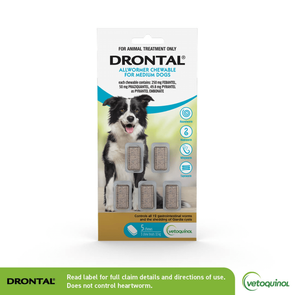 Drontal Medium Dogs Allwormer Chewables 10kg x5 Tablets-PETROOM