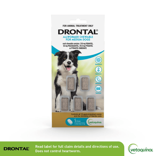 Drontal Medium Dogs Allwormer Chewables 10kg x5 Tablets-PETROOM