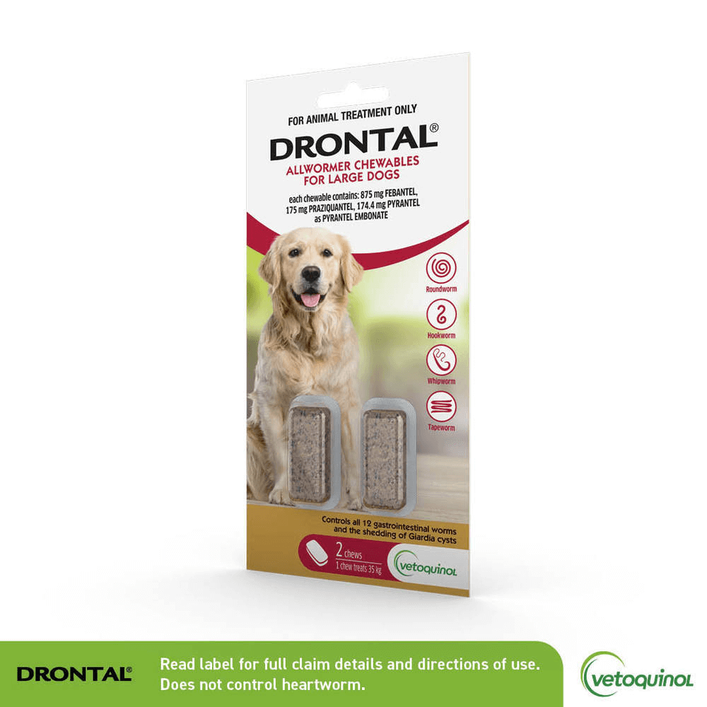 Drontal Dog Allwormer Chewable 35kg x2 Tablets-PETROOM