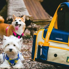 UNMIXED Pet Carrier – Travel Bag for Cats & Dogs-Petroom