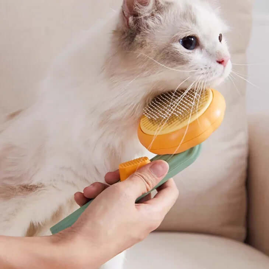 Person using a small orange grooming brush on a white cat