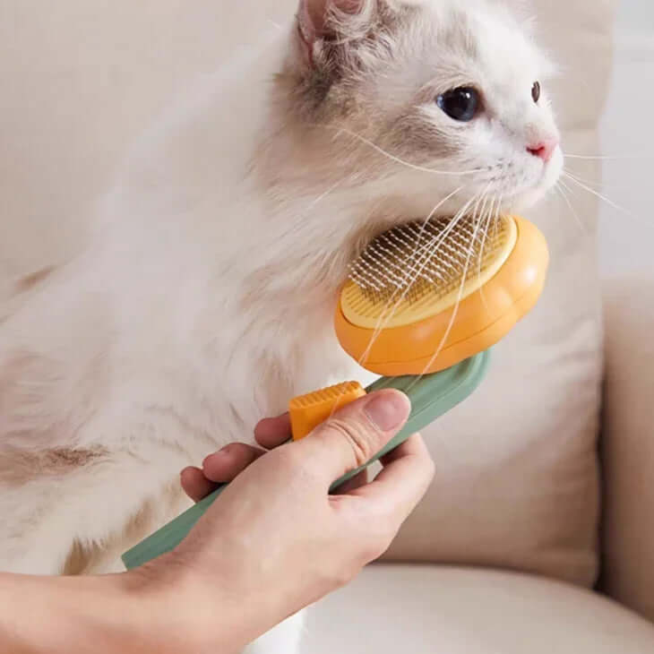 Person using a small orange grooming brush on a white cat