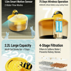 AIWO Wireless Pet Water Fountain - Bee Series Gen 2 features 1.5m sensor, 75 days operation, 2.2L capacity, 4-stage filtration.