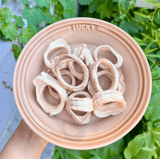 PAWDRY 鹏禹天派 Freeze-Dried Beef Trachea 100g-PETROOM