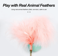 Cat Toy with Bell Feather – Interactive Cat Stick for Cats