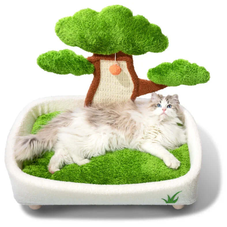 Cat lying on a green-themed pet bed with a tree decoration
