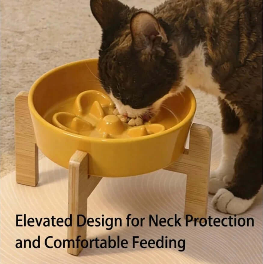 Cat eating from yellow elevated slow feeder bowl with wooden stand for comfortable feeding