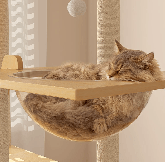 148cm Tall Forest Tree House Cat Tree for Large Cats Deluxe Edition-7 Level Tower with Space Capsule & House - Cat napping in cozy space