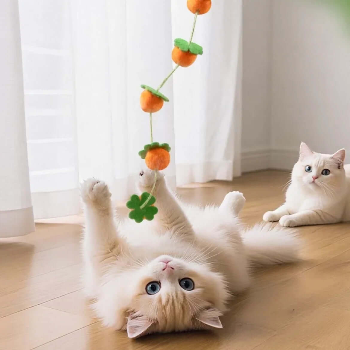 Fluffy white cat playing with orange felt fruit cat toy on wooden floor, another cat watching nearby