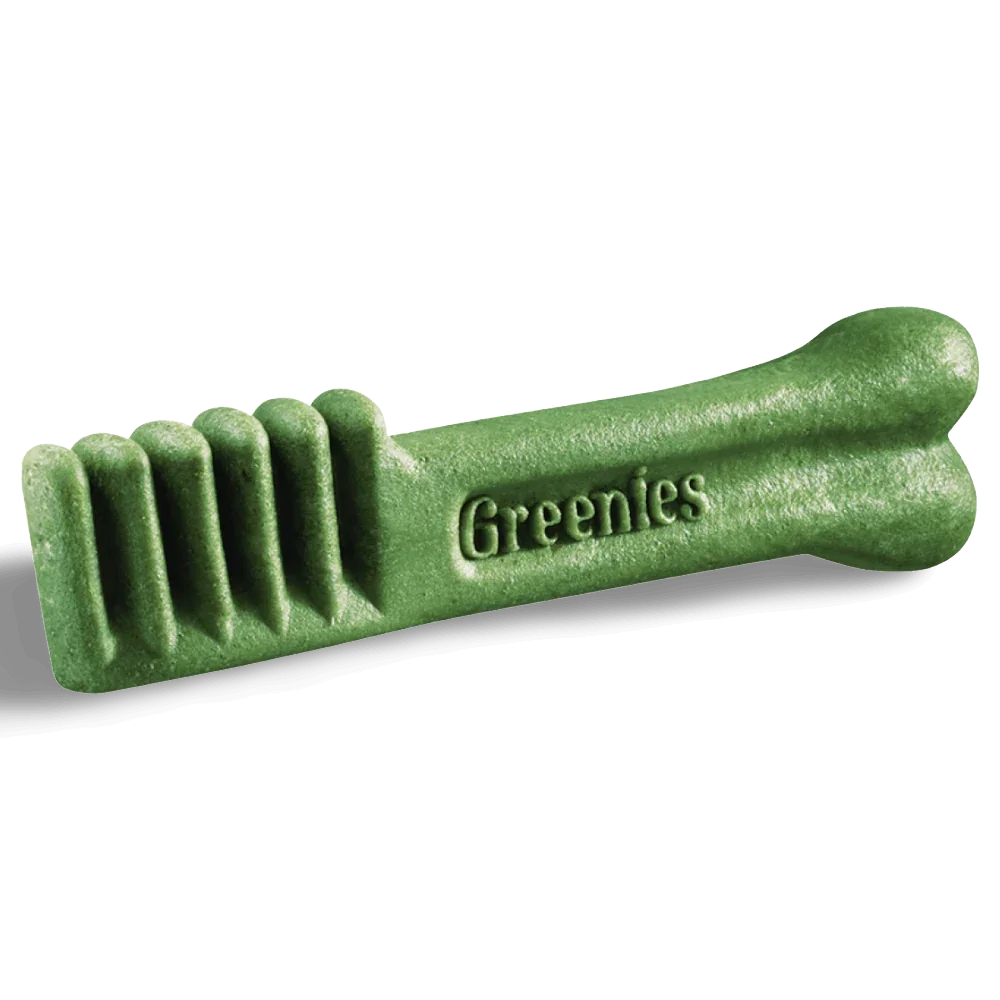 Greenies Sweet Potato Regular Dental Dog Treats 340g green dental chew for dogs in bone shape.
