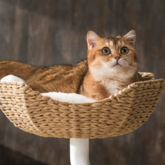 Michu DeskMate Desk-Mounted Cat Tree Perfect For WFH - A cat lounging in a stylish woven perch.