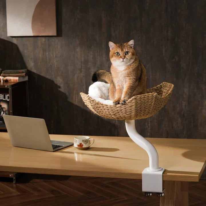 Cat sitting in woven desk perch with white cushion, modern pet furniture for home office